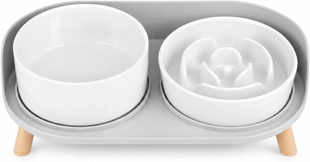 Elevated Slow Feeder Dog Bowls with Splash Proof Stand, Slow Eating 5X