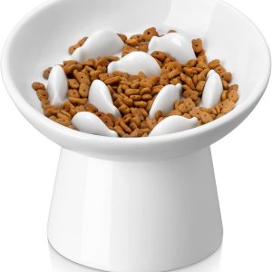 Ceramic Slow Feeder Cat Bowl, 6.25 Inch Elevated Cat Slow Feeder Bowl, Anti Vomiting for Dry and Wet Food, White